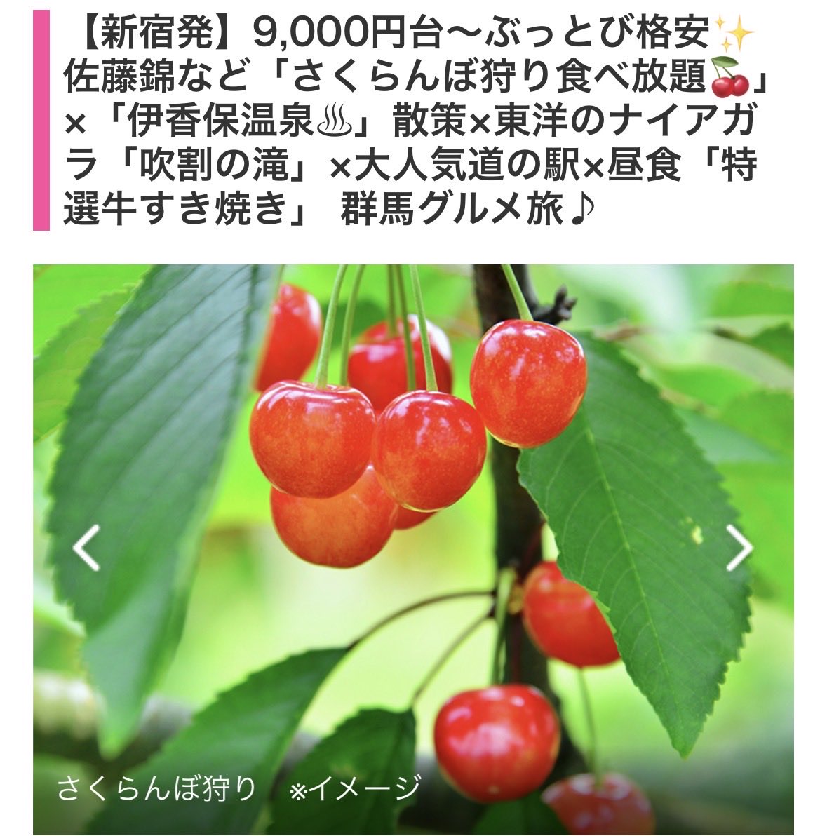 erucoco tweet media