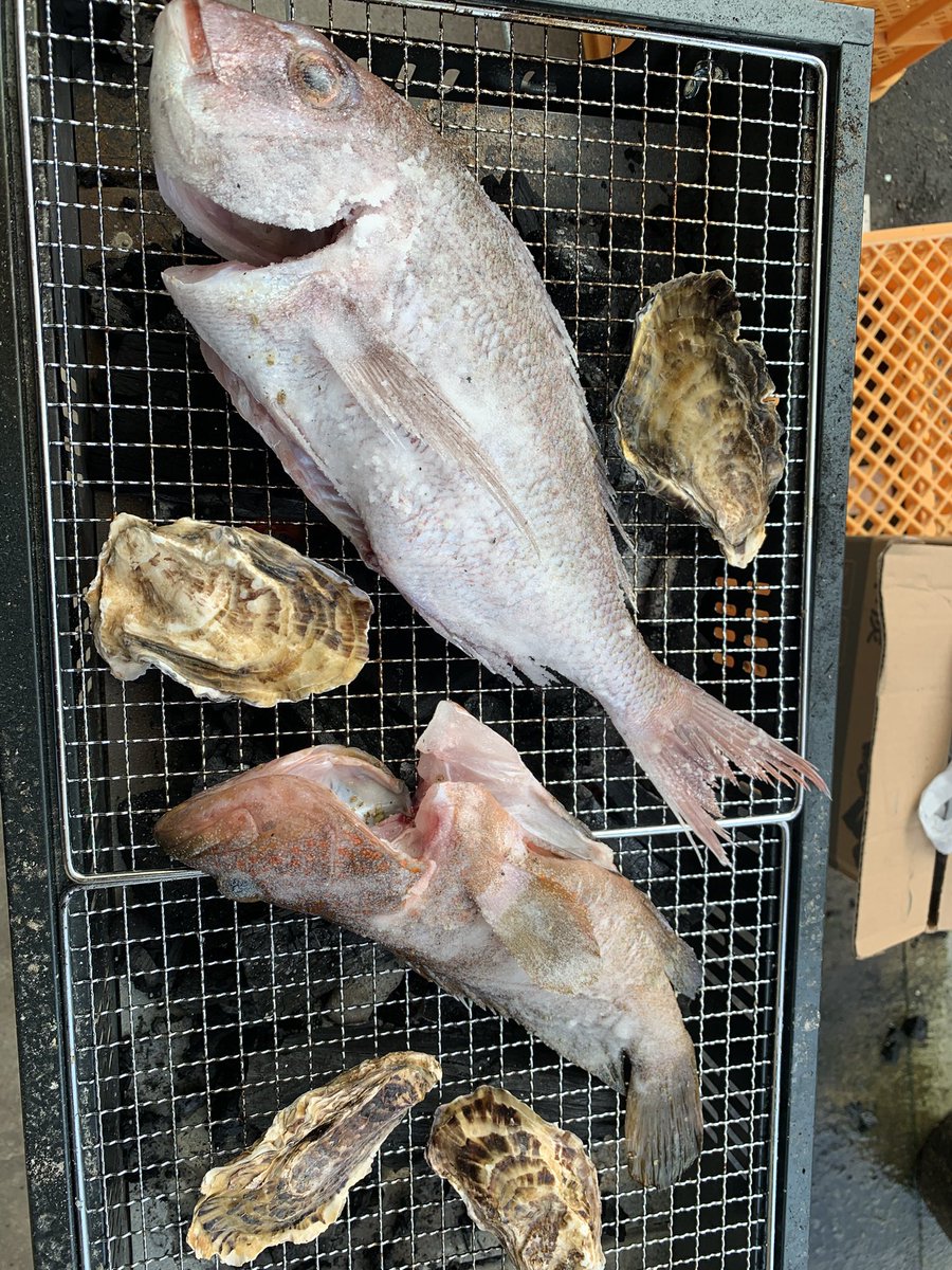 サボテン (@saboten_d) / Posts / X