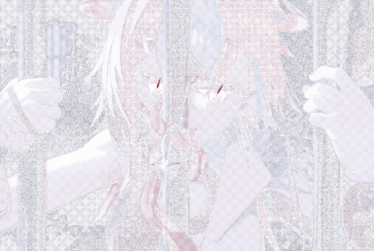 🐁♦️𝙷𝚊𝚔𝚘𝚜 𝙱𝚊𝚎𝚕𝚣♦️🐁 tweet media