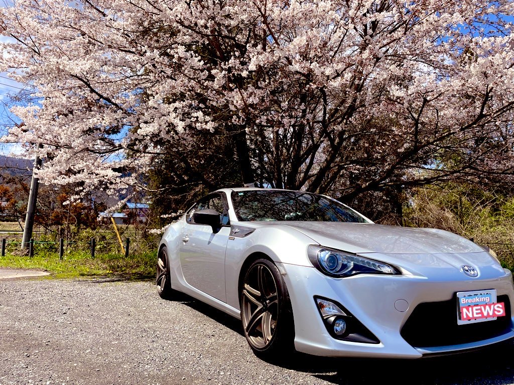 わたるん@ZN6feat TSmoguseru tweet media