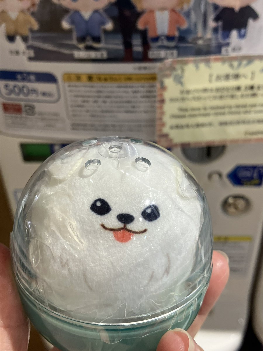 見つけたから回してみたら
1回で毛玉来てくれた🥹
来てくれてありがとう😭💕

#ギヴン