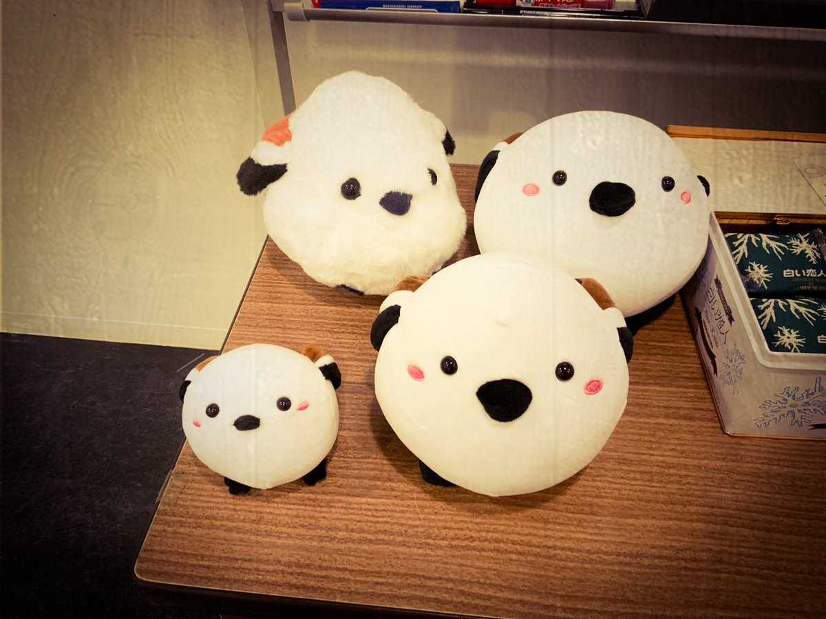 Key37chin's tweet photo. 再びの札幌

今日の会場はシマエナガの群生地
　チーチチチ　　チリリリ

#レミオロメン
#札幌市民ホール https://t.co/oLyKNvg7uc
