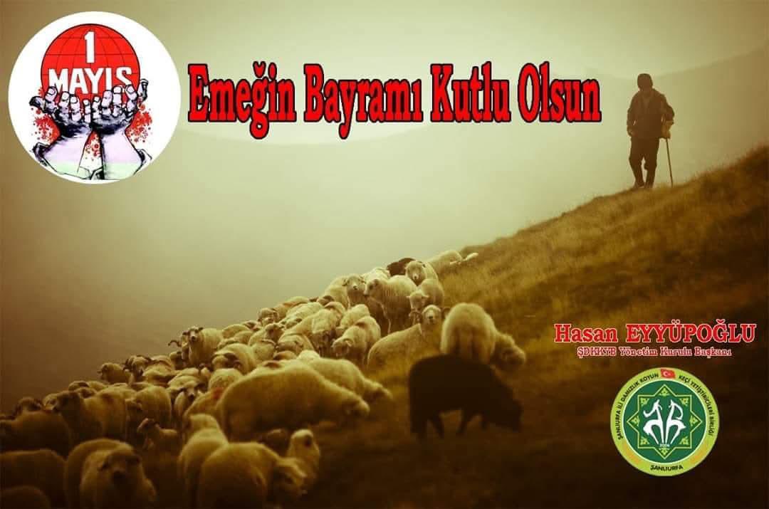 HASAN EYYÜPOĞLU tweet media