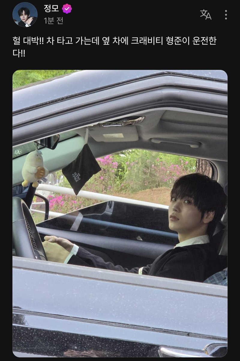 코이 tweet media