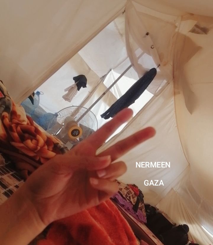 Nermeen from Gaza 𓂆🇵🇸🍉 tweet media