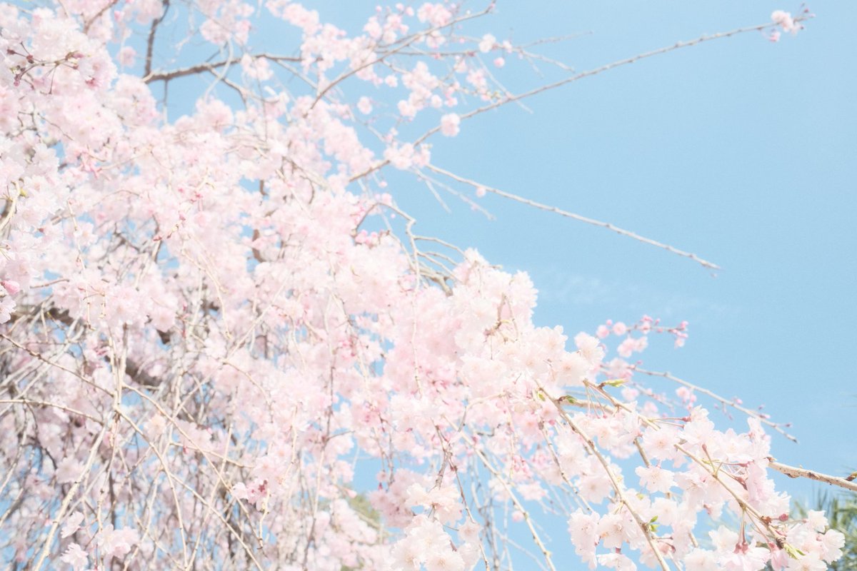 うたたね游 🏠新連載5月開始 tweet media