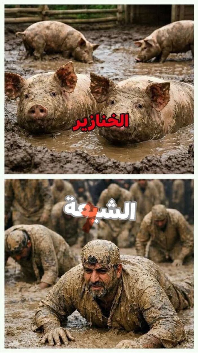 محمد السبيعي 🇸🇦🦅 tweet media