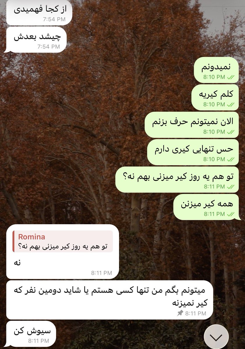 رومینا tweet media