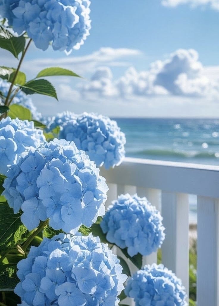 COOZY 💙 KINDNESS tweet media