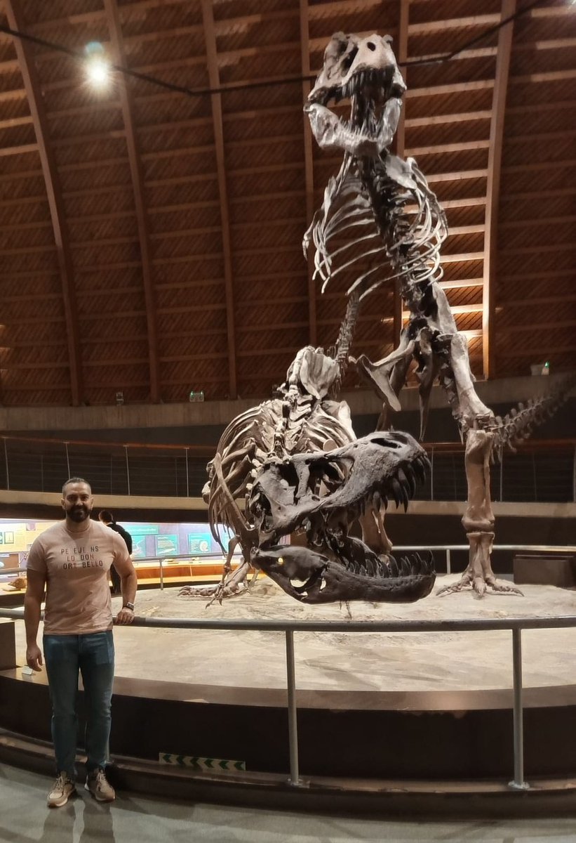 saulilustrador's tweet image. 🦕 🦖 💚 
#museum #dinosaur #dinosaurlovers #trex #asturias