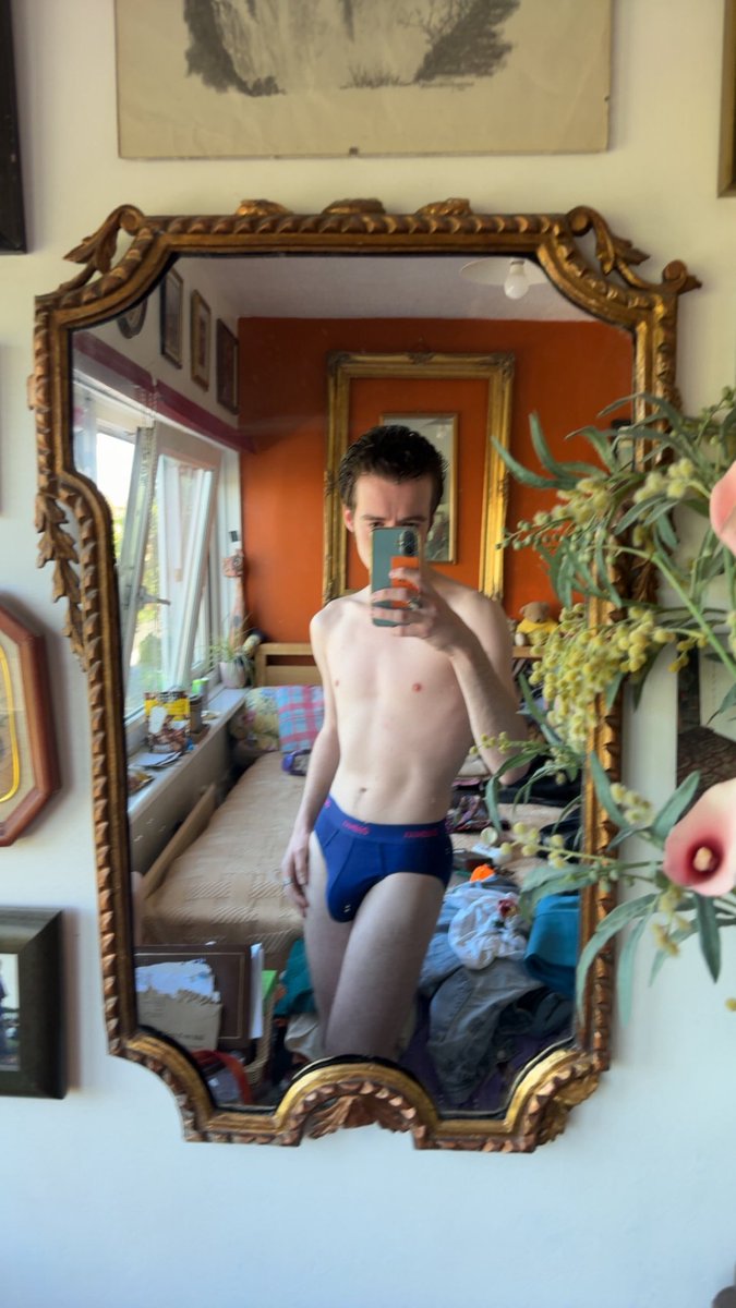 disco david tweet media