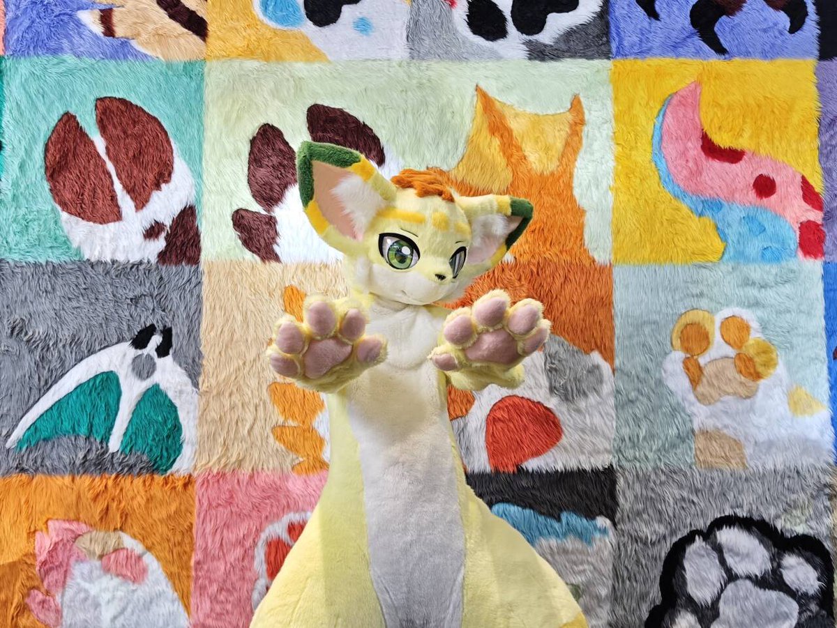 SulfoxTheFennec's tweet photo. 五一假期和比赛冲突了只能自己阴暗地蠕动了，发张旧图冒充去过聚了！

📷: @ Qlan

#fursuit #FursuitFriday #FursuitsFriday #FursuitsEveryday https://t.co/Ee7z2y7r76