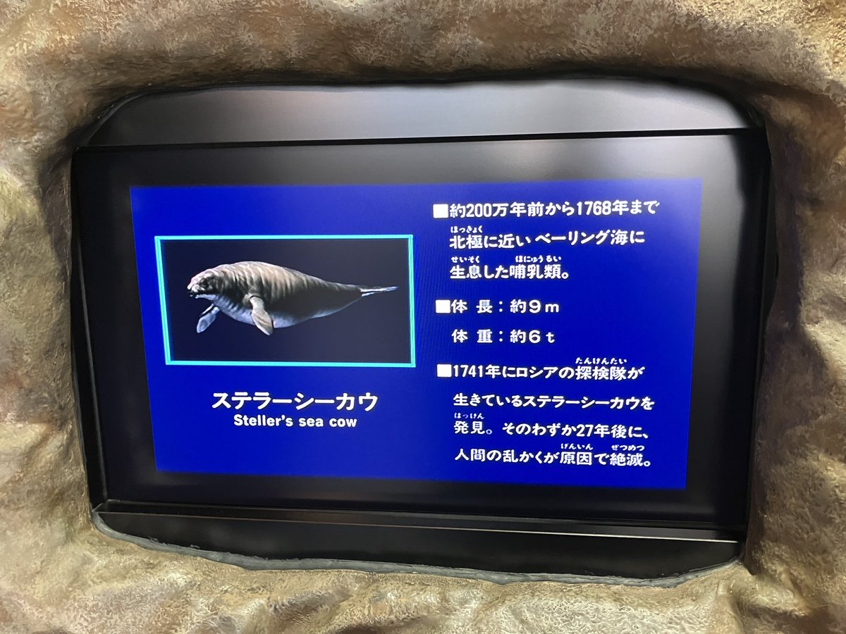らる tweet media