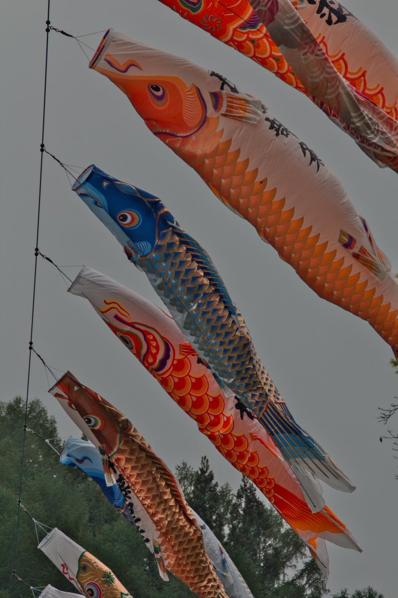 PC25705931's tweet image. 帰路にて
＃ロードバイクのある生活
＃アウディー
#tt
