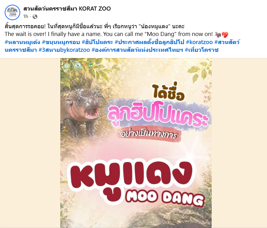 imBilngineer's tweet photo. there's no newborn hippo in moodeng zoo

they talked about the one in Korat Zoo 

and they announced the name an hour ago on Facebook

it's MOODANG

OG one with cashback
DWeB4iHoQ2gMKwaU3NjCYW9RJfpiXcuzUkCvcNf6pump

Facebook post: https://t.co/KG17AlTp87 https://t.co/j7GqMM5UJV