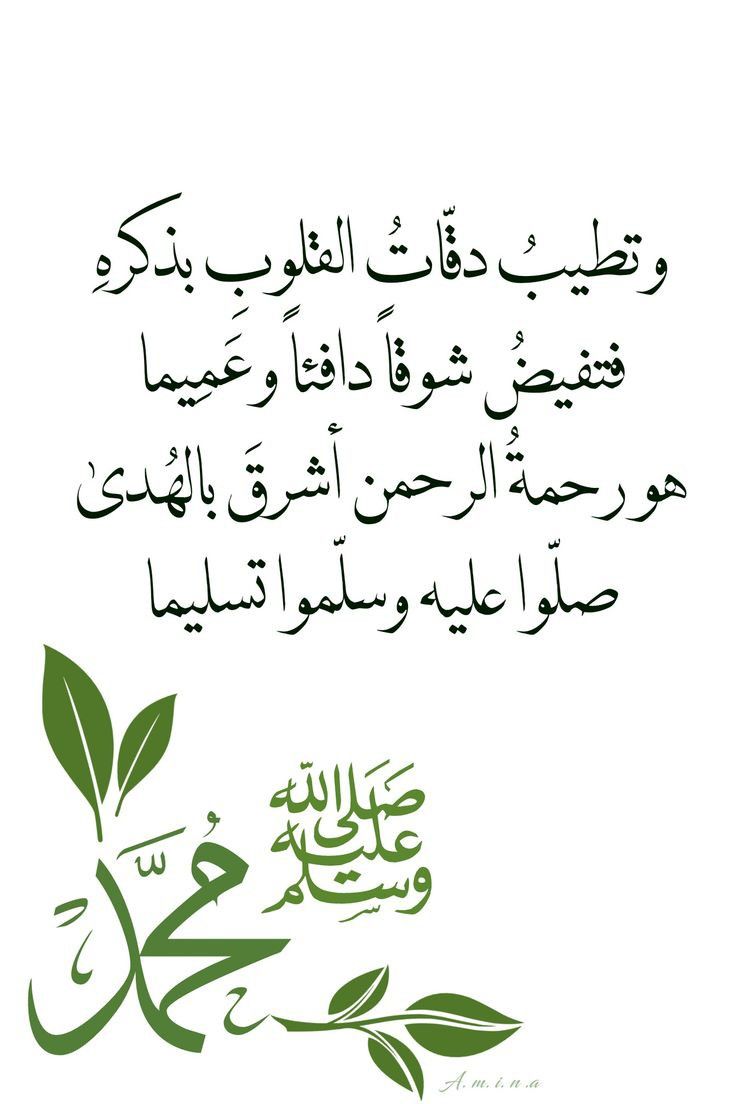 شموخ القوافي🕊️ tweet media