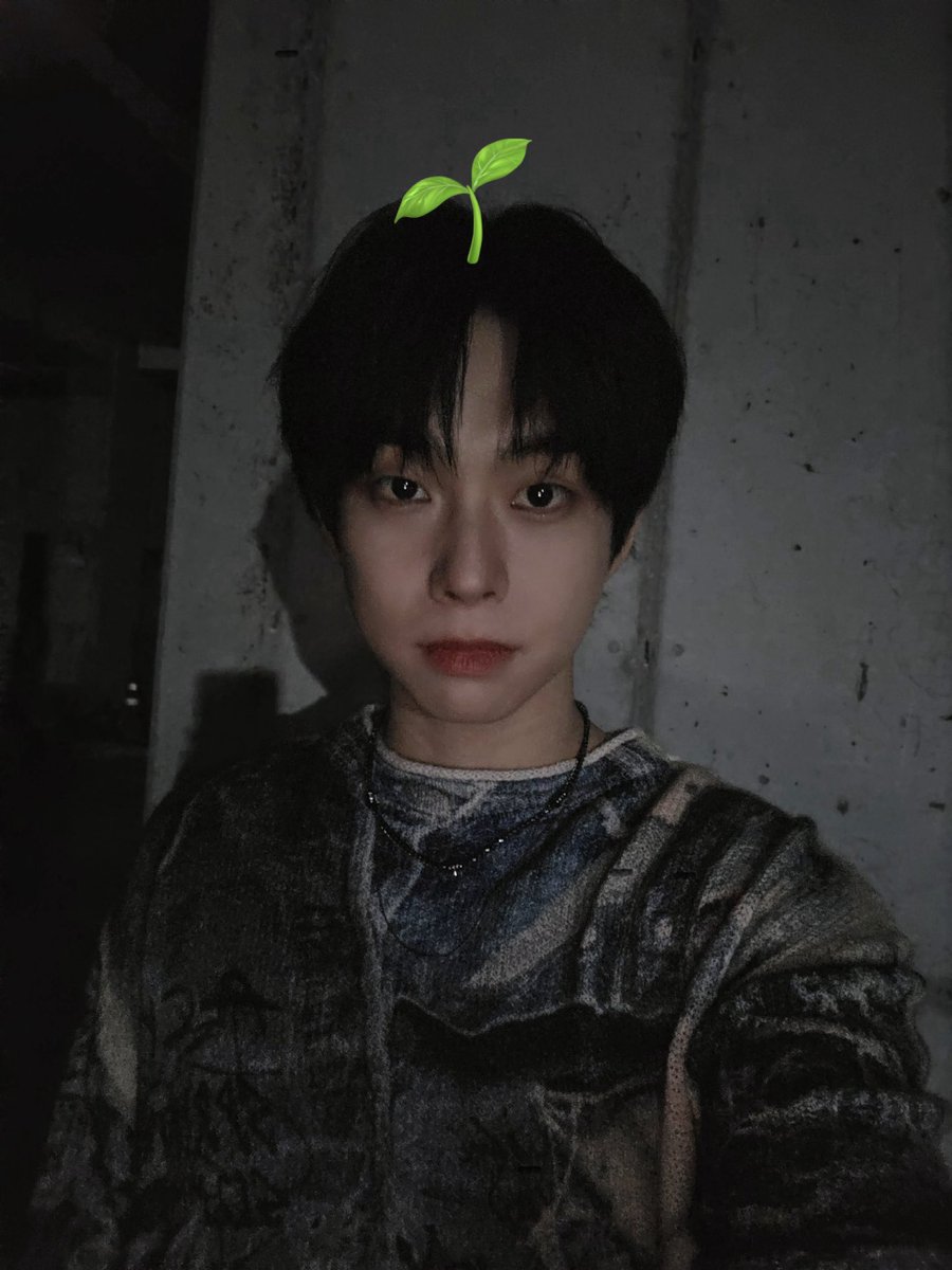 slow 엽얍 tweet media