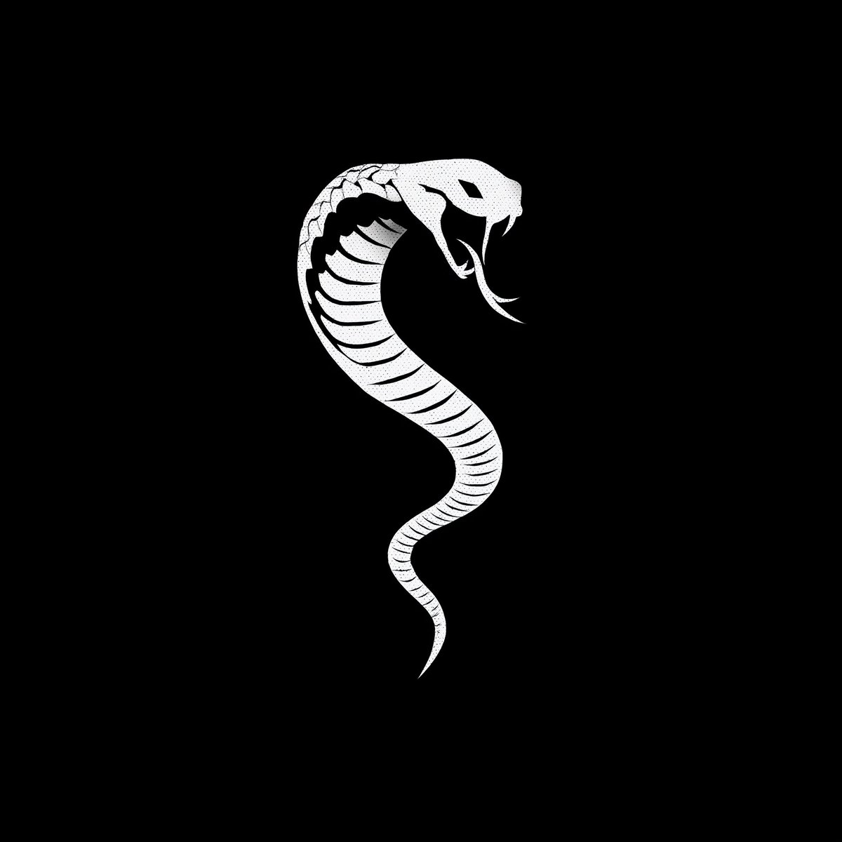 PROJECT: SNAKE | curated by emptycobra tweet media