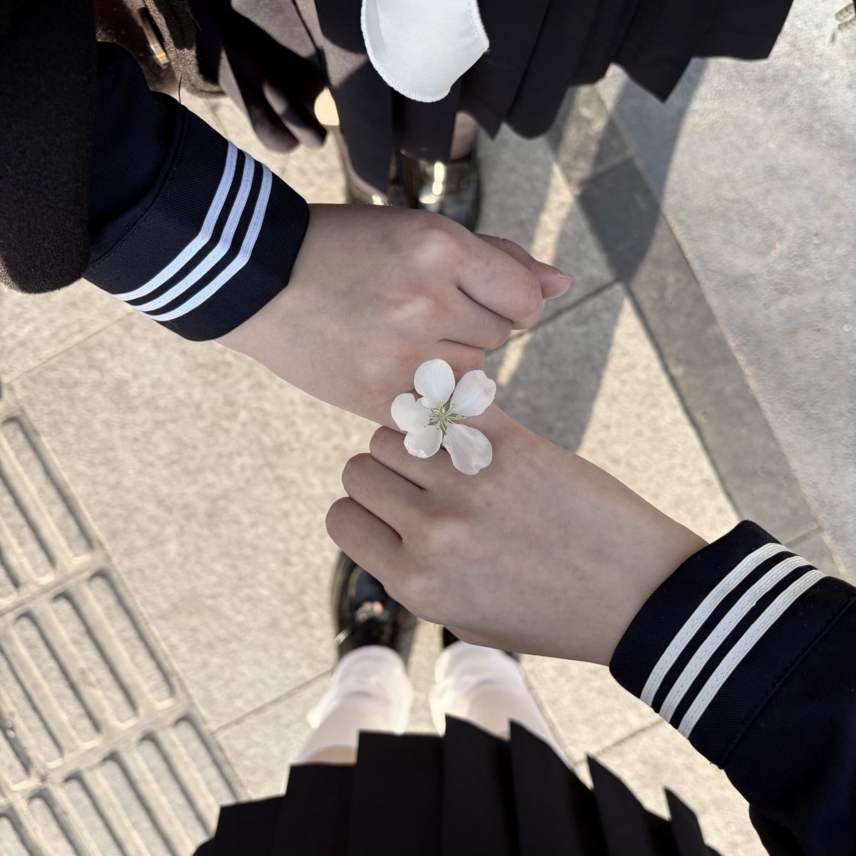 吃点苹果吧 tweet media