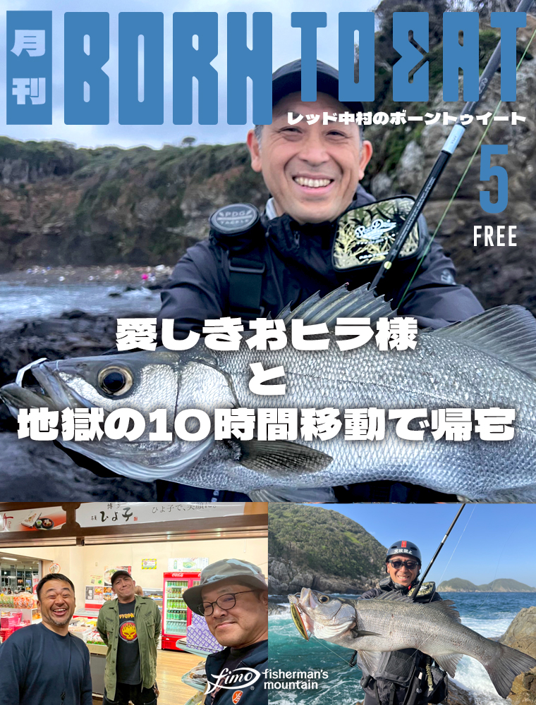 【公式】fisherman's mountain(fimo) tweet media