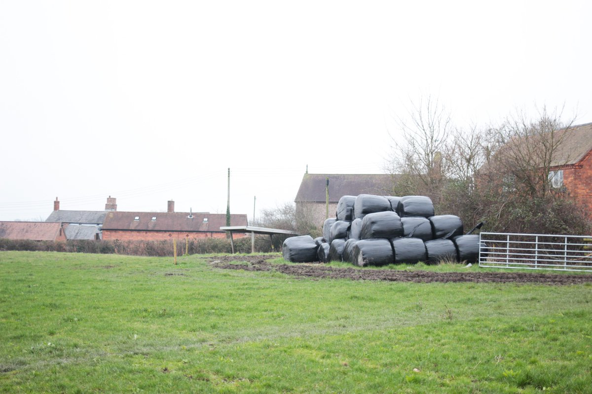 LEAF_Farming's tweet image. Plastics are vital to modern farming - but good management matters.
Join our next LEAF Digs Deeper webinar to explore reducing waste, improving recycling &amp;amp; meeting environmental expectations.

🗓️ Fri 8 May, 10am
leaf.eco/news-and-event…
#Agriplastics #SustainableFarming