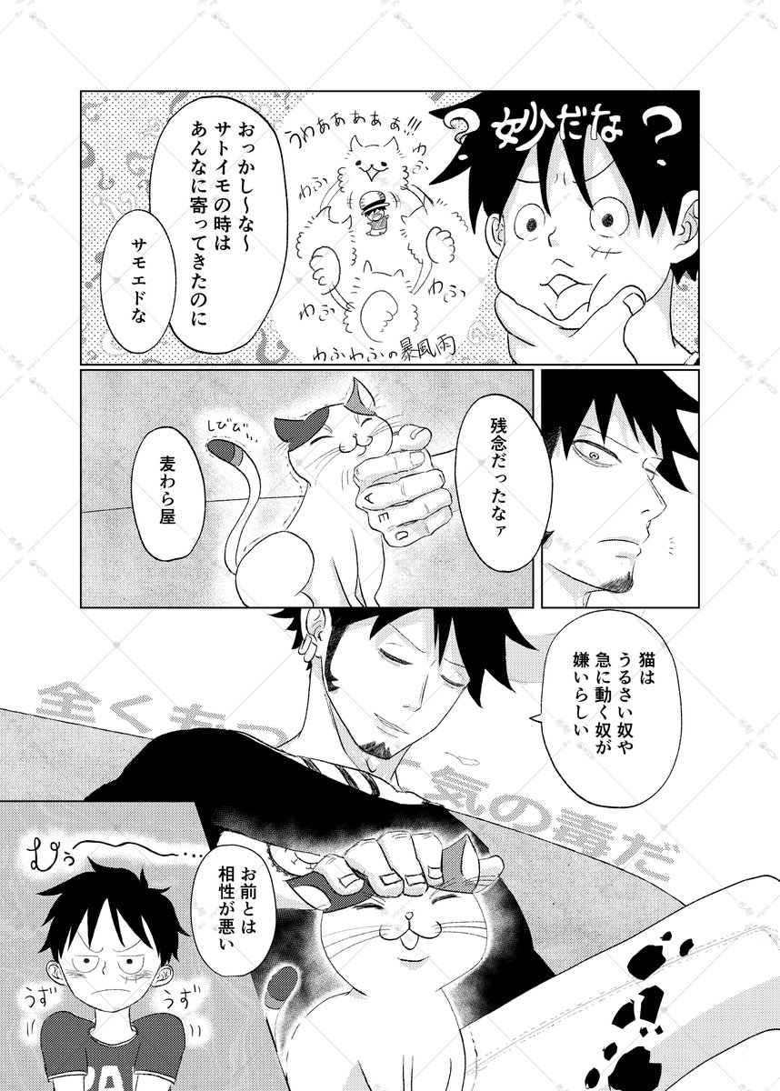 花郁🍙🍖 tweet media