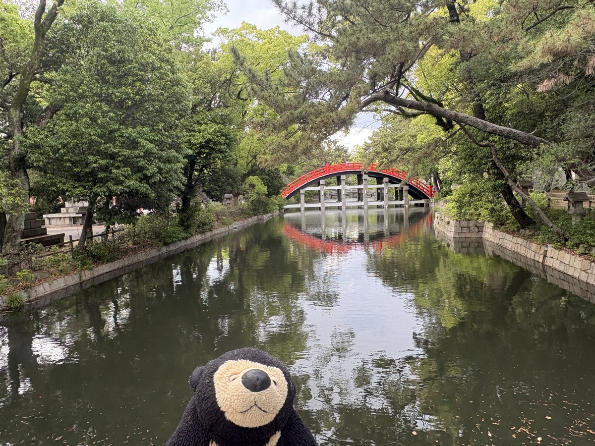 住吉大社！
まねき猫エリアはもう閉まっていた。
そのうちリベンジするぞ！