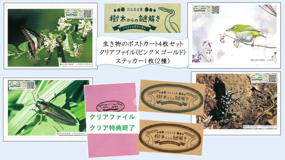 都立日比谷公園(Hibiya Park, Tokyo) 園長の採れたて情報 tweet media