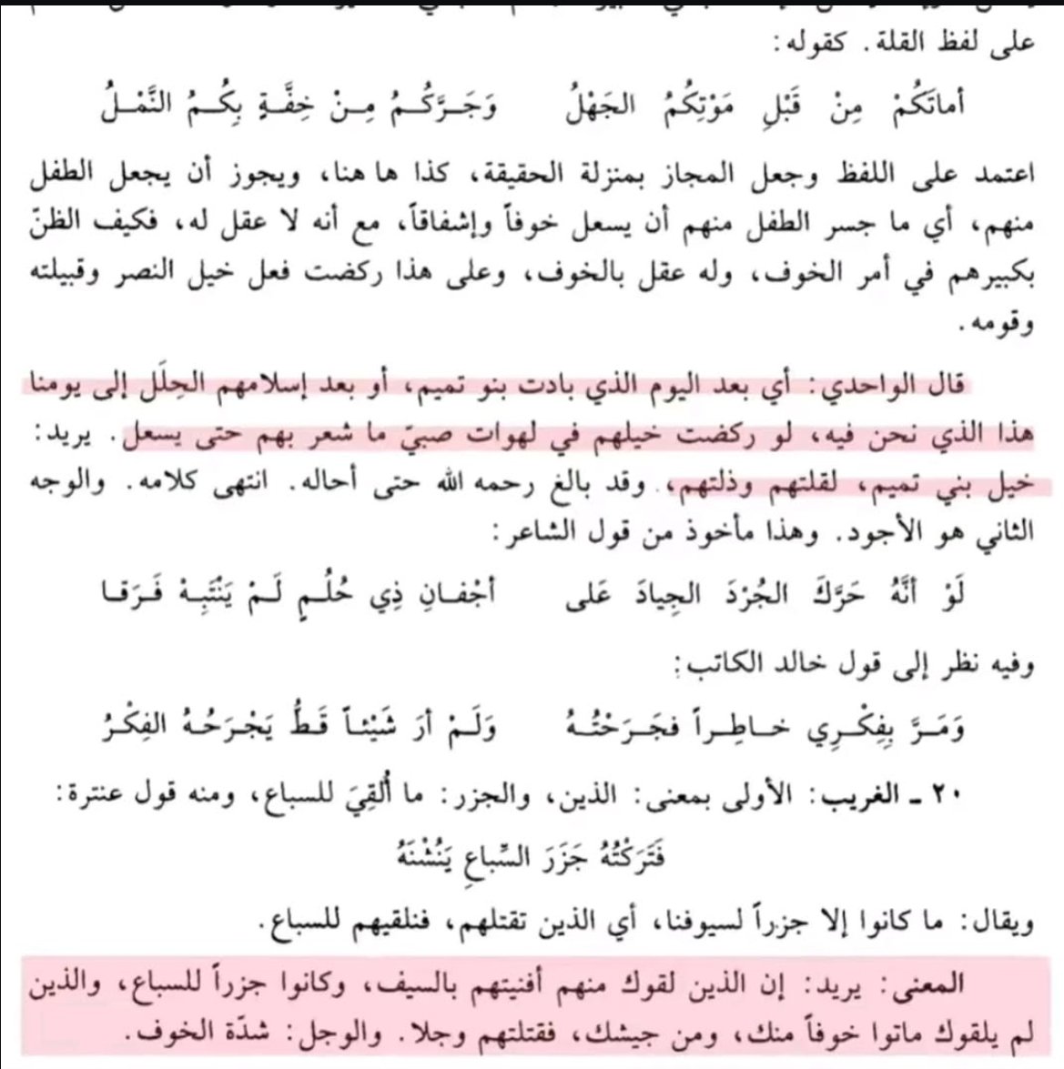 كُحيل الفَتى الخَفاجِي العُقيلِي tweet media