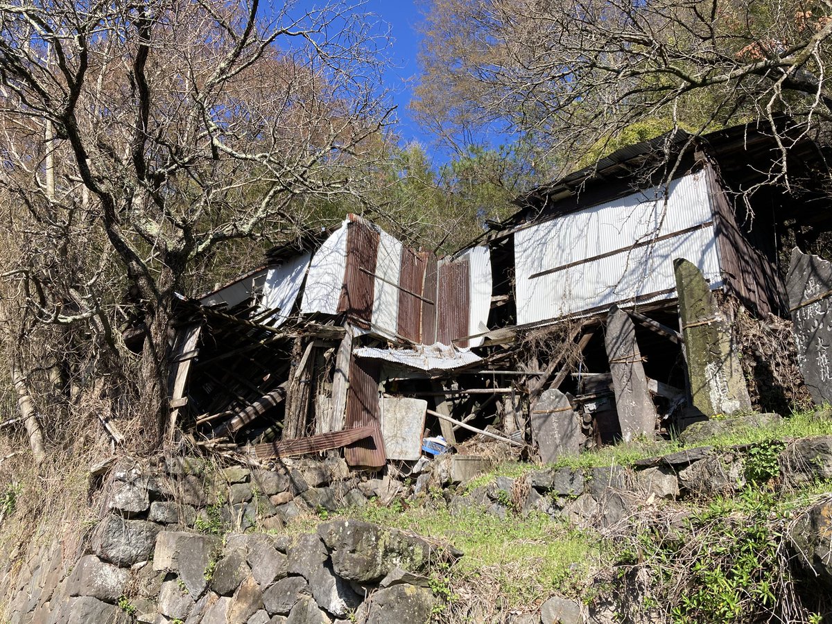 杉山和夫 tweet media
