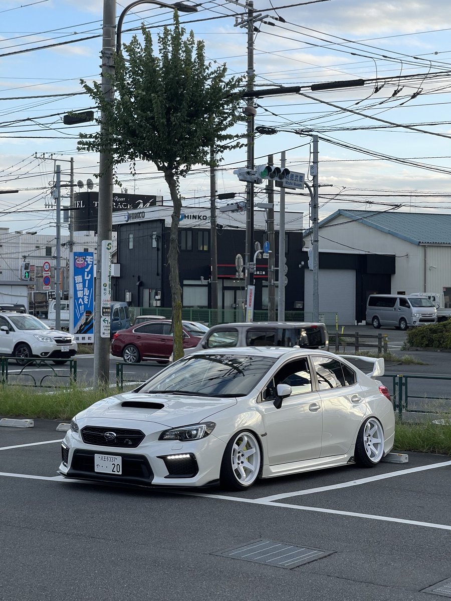 まさにゃん tweet media