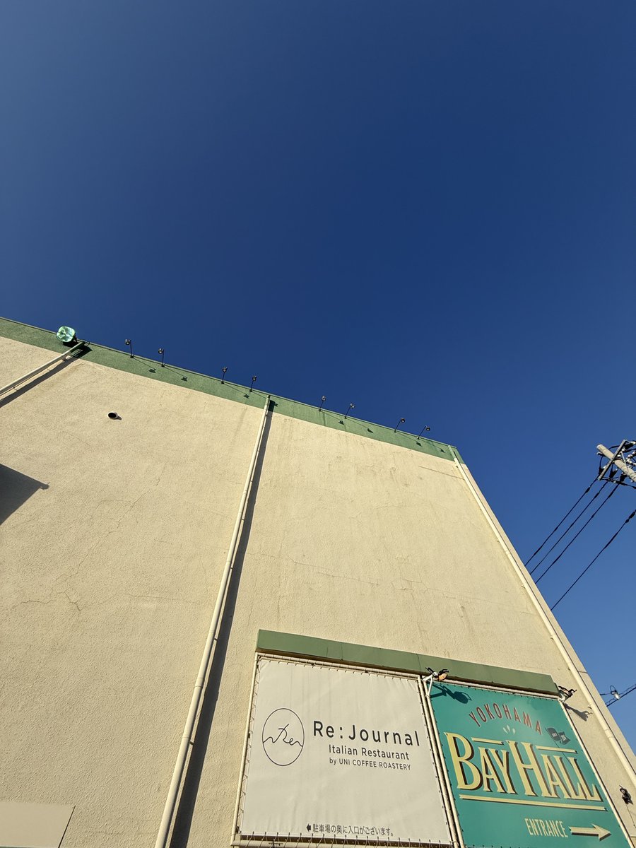 ヨウカ（・みずたまくらげ・） tweet media