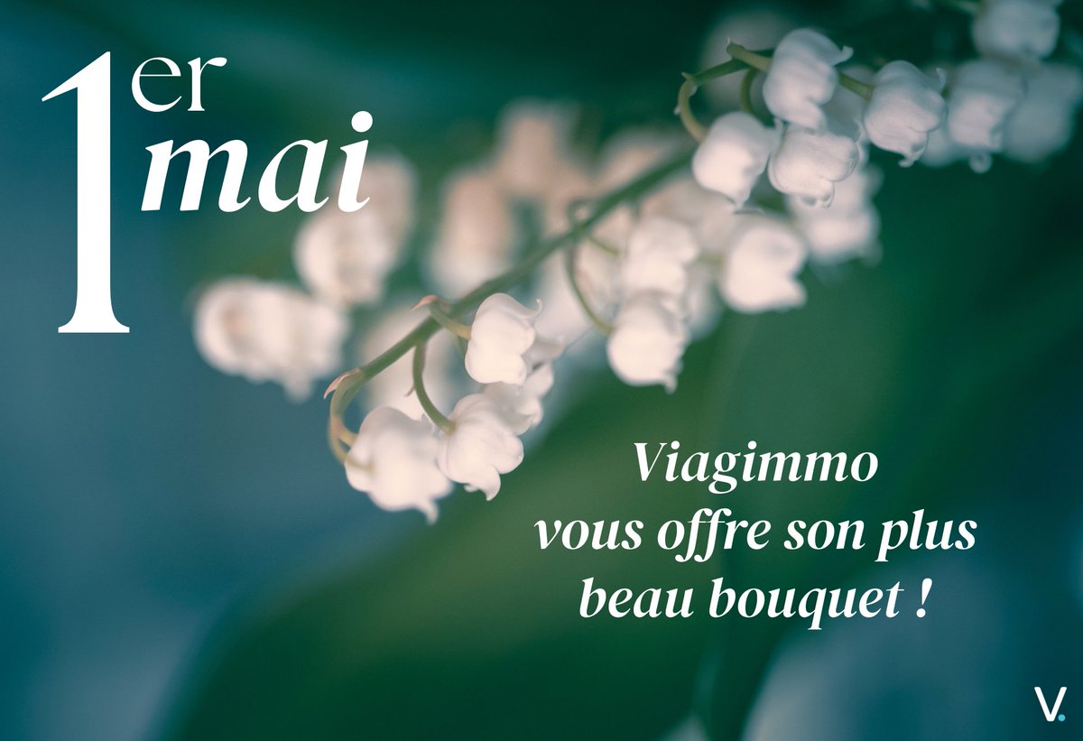Viagimmo tweet media