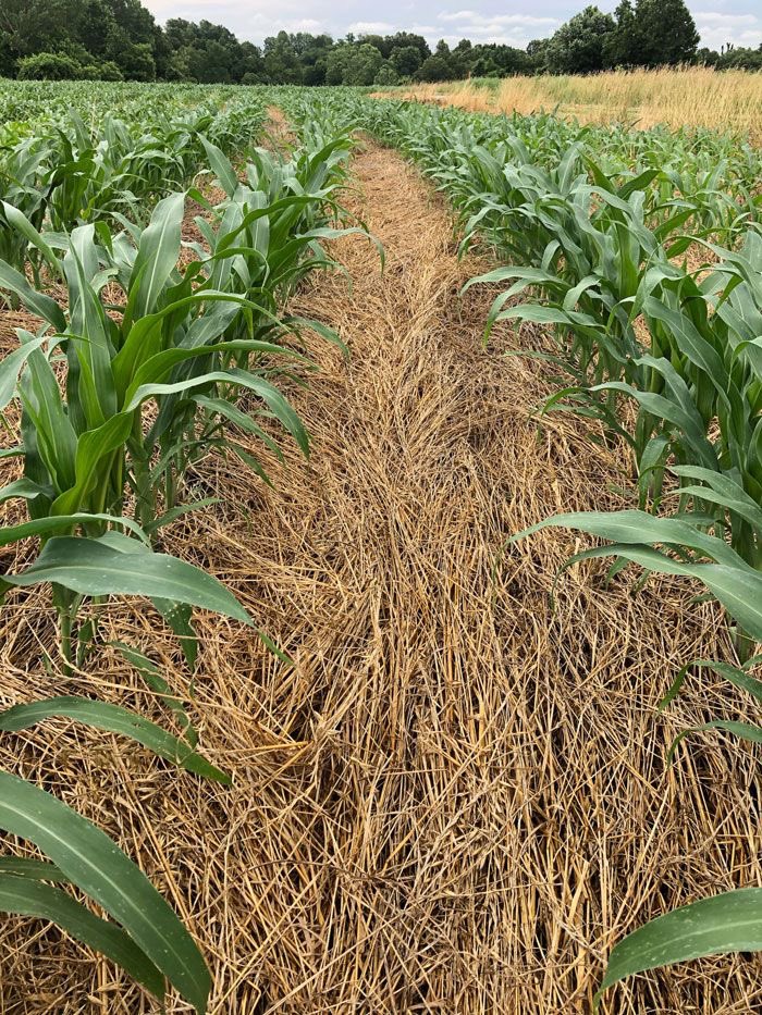 Agronomme_'s tweet photo. Agriculture is the most healthful, most useful and most noble employment of man." https://t.co/gDdXmsPVxP