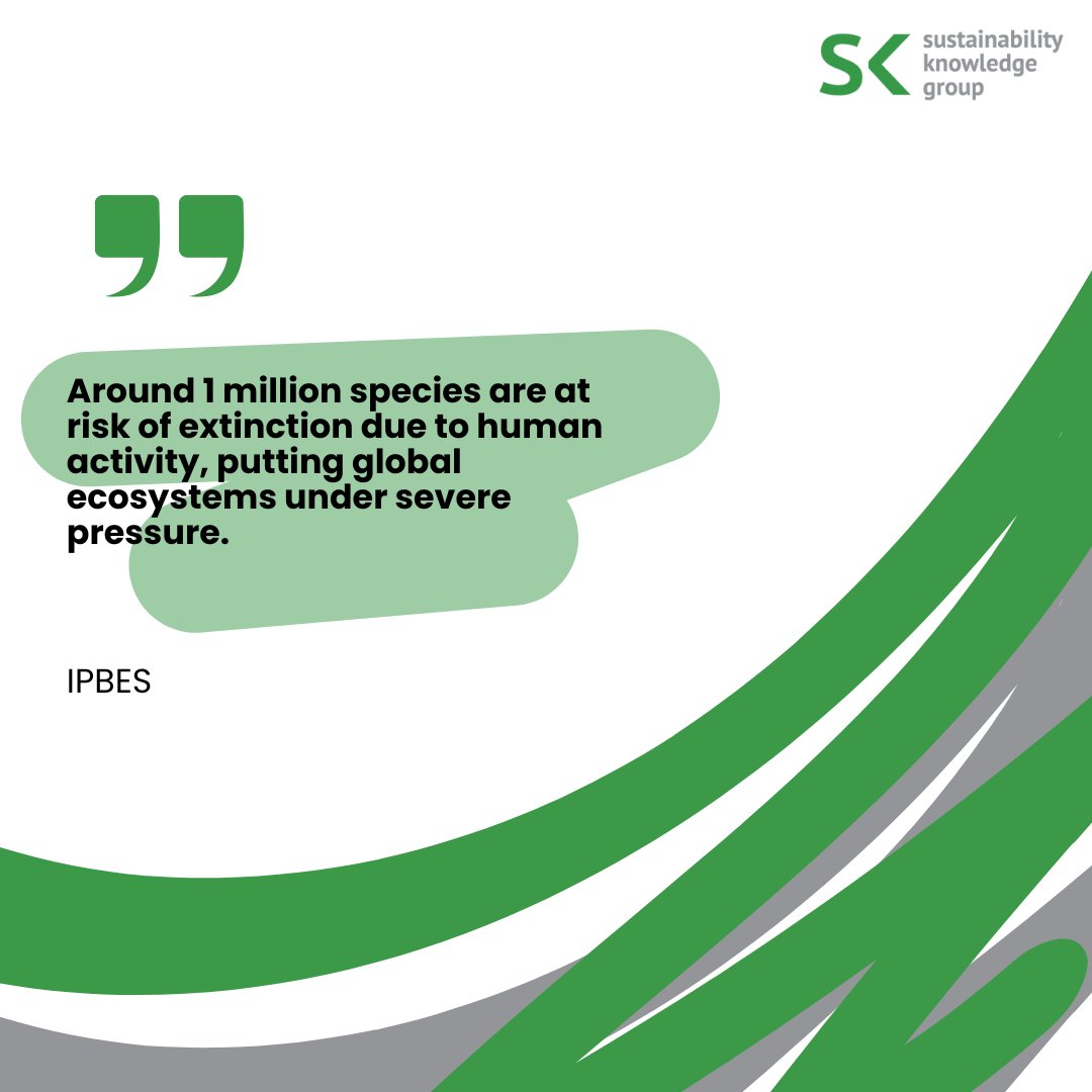 SKnowledgeGroup's tweet photo. #Biodiversity is essential for the health of our planet &amp;  all living beings.
Protecting ecosystems, species &amp; natural habitats is a responsibility. Every action to preserve biodiversity contributes to future of #Sustainability &amp; #Conservation. #BiologicalDiversityDay https://t.co/C5f2r1wYeT