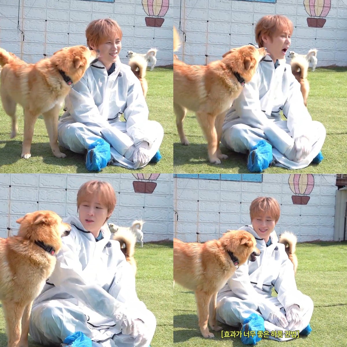 셍콤달콤(💙) tweet media