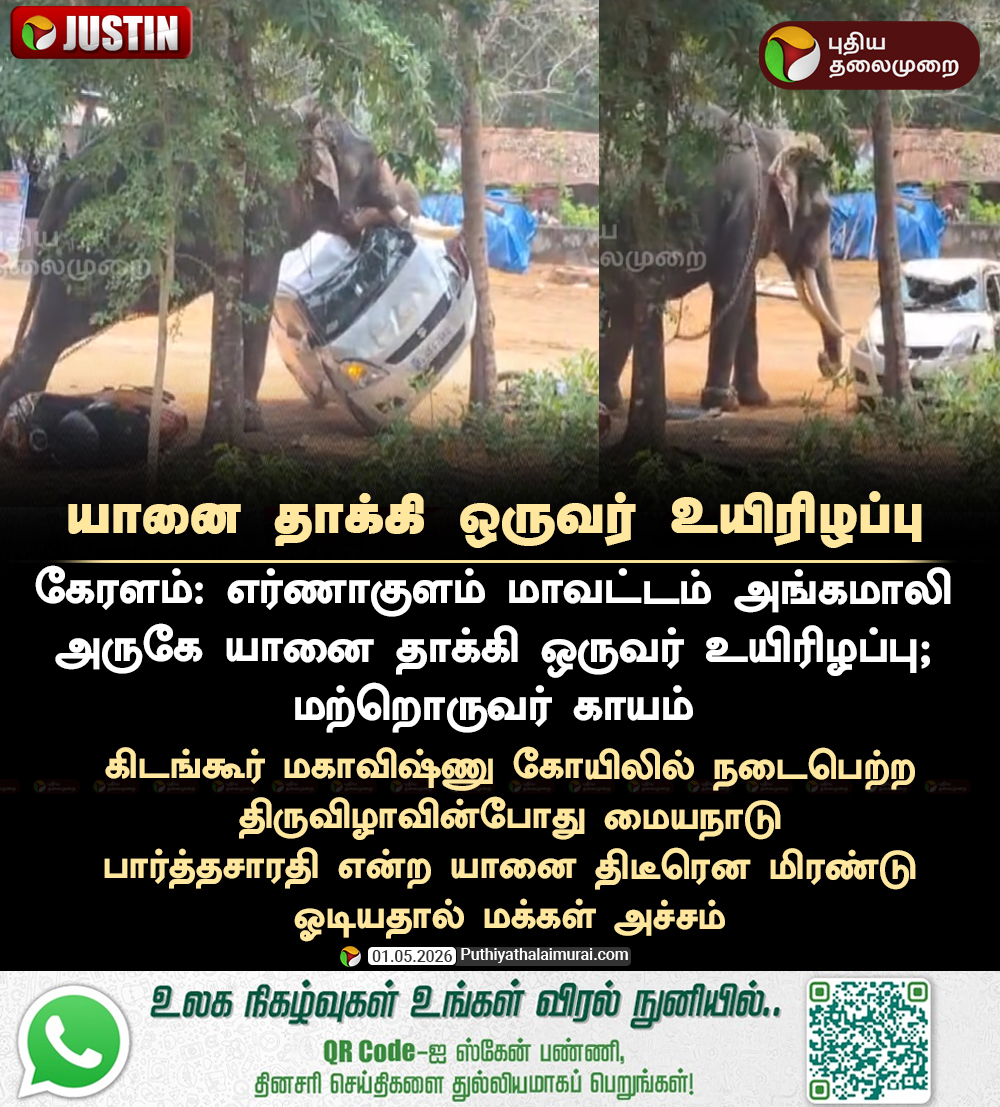 PttvNewsX's tweet image. #JUSTIN |  யானை தாக்கி ஒருவர் உயிரிழப்பு
 
#Keralam | #Elephant | #Ernakulam | #KidangoorMahavishnuTemple