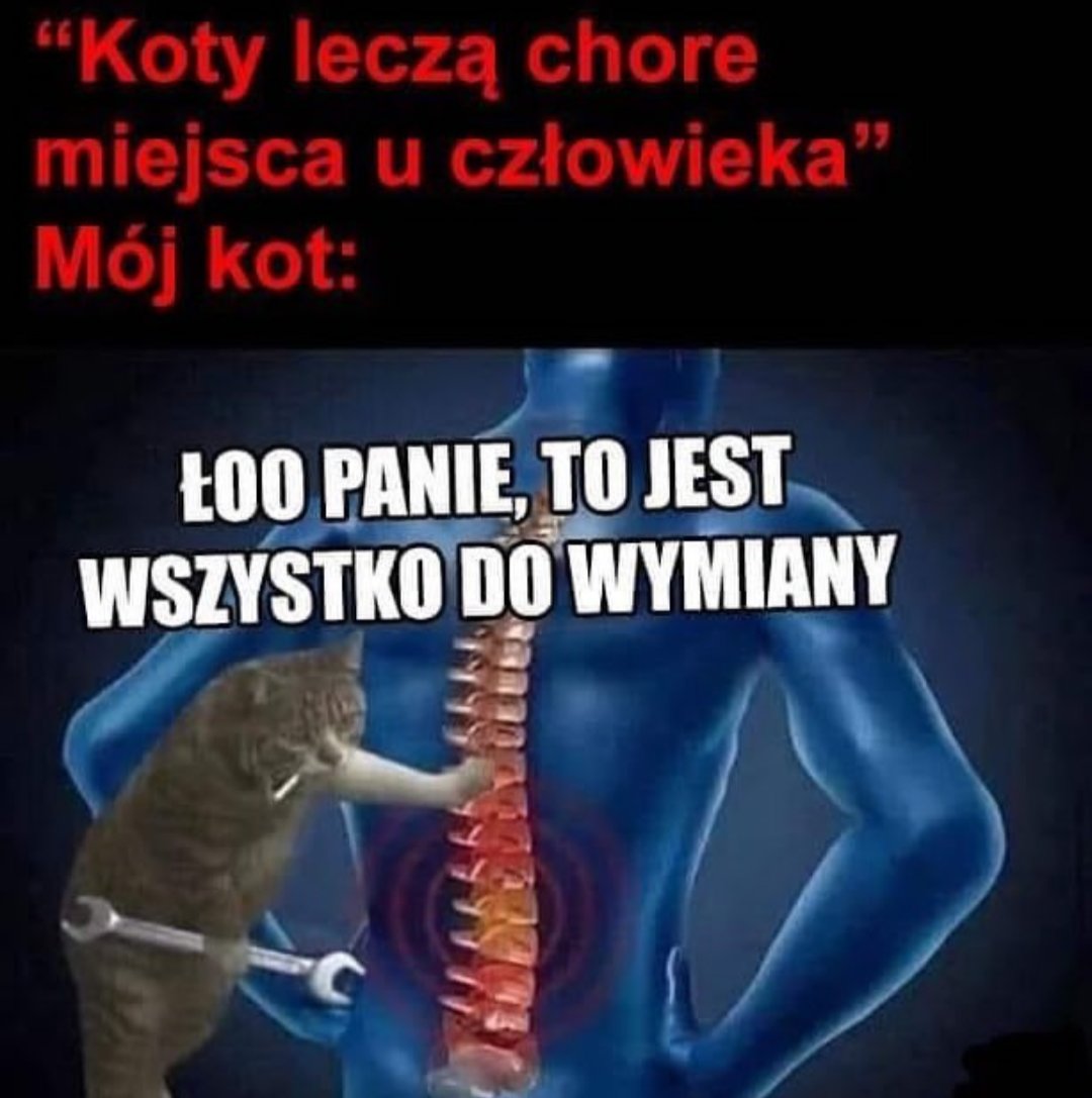 Bogna Białecka tweet media
