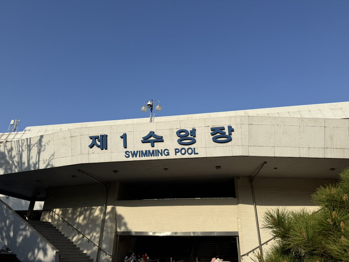 루치아✨ tweet media