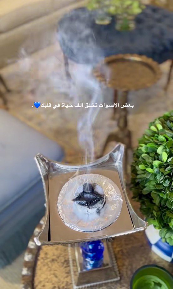 روح أنثى tweet media