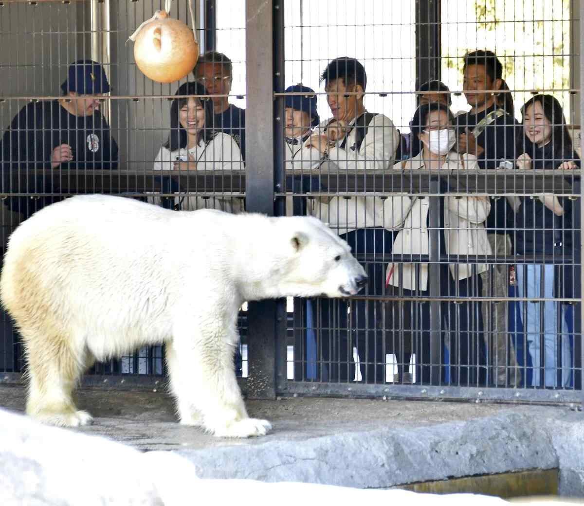 The Japan News tweet media