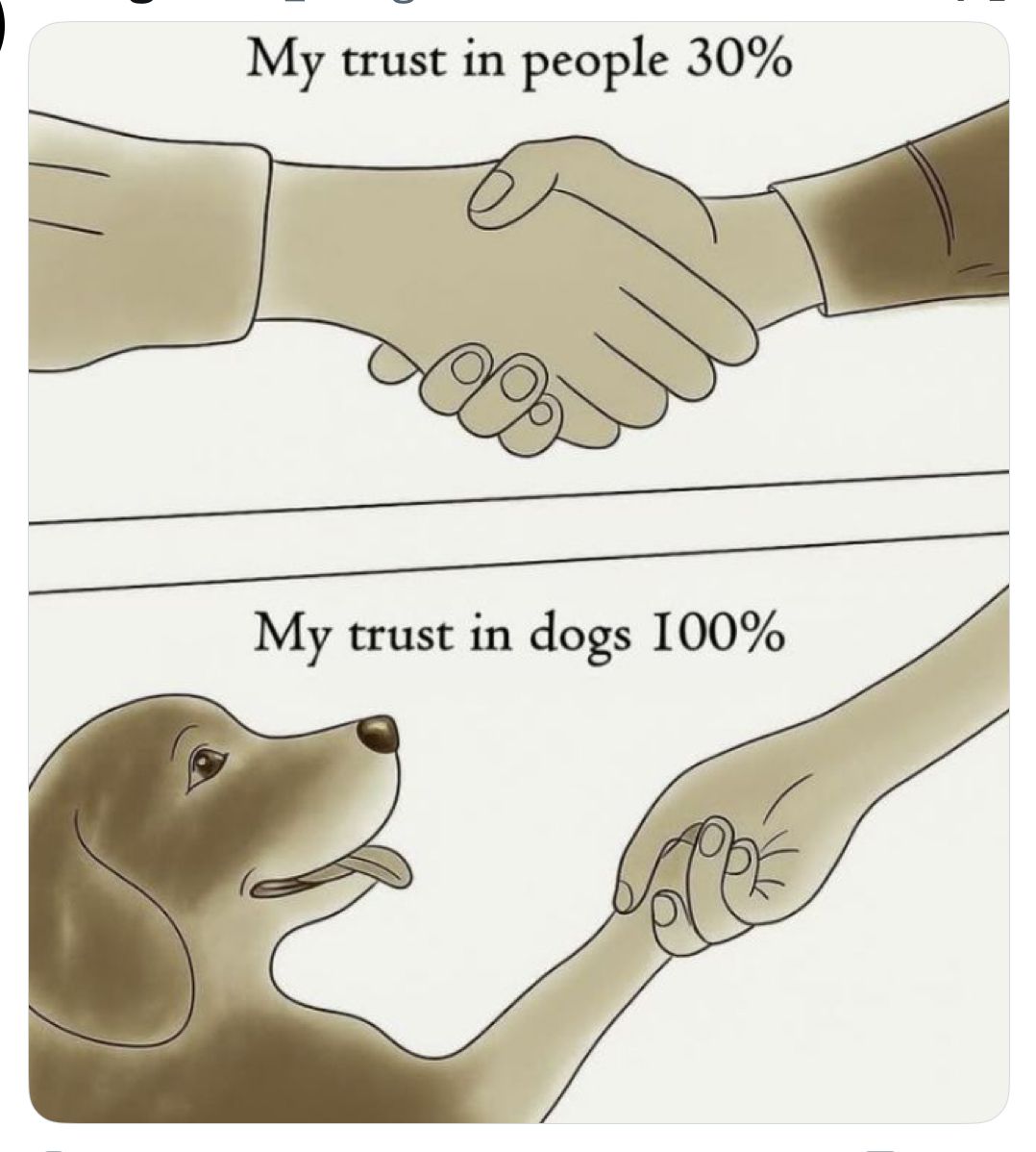𝕏 Dogs tweet media