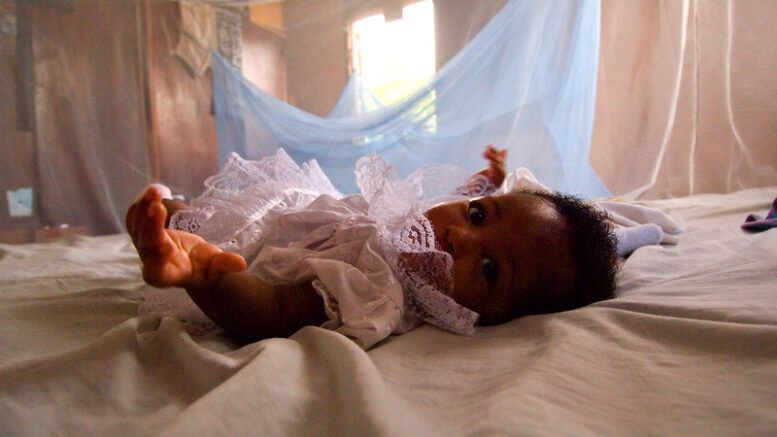 G_H_Report's tweet photo. The world's smallest malaria patients now have a treatment made especially for them - thanks to the work of Lutz Hegemann and the team at @Novartis 

Read more - https://t.co/vjsNJQKsKB https://t.co/MAm5YEUqJE