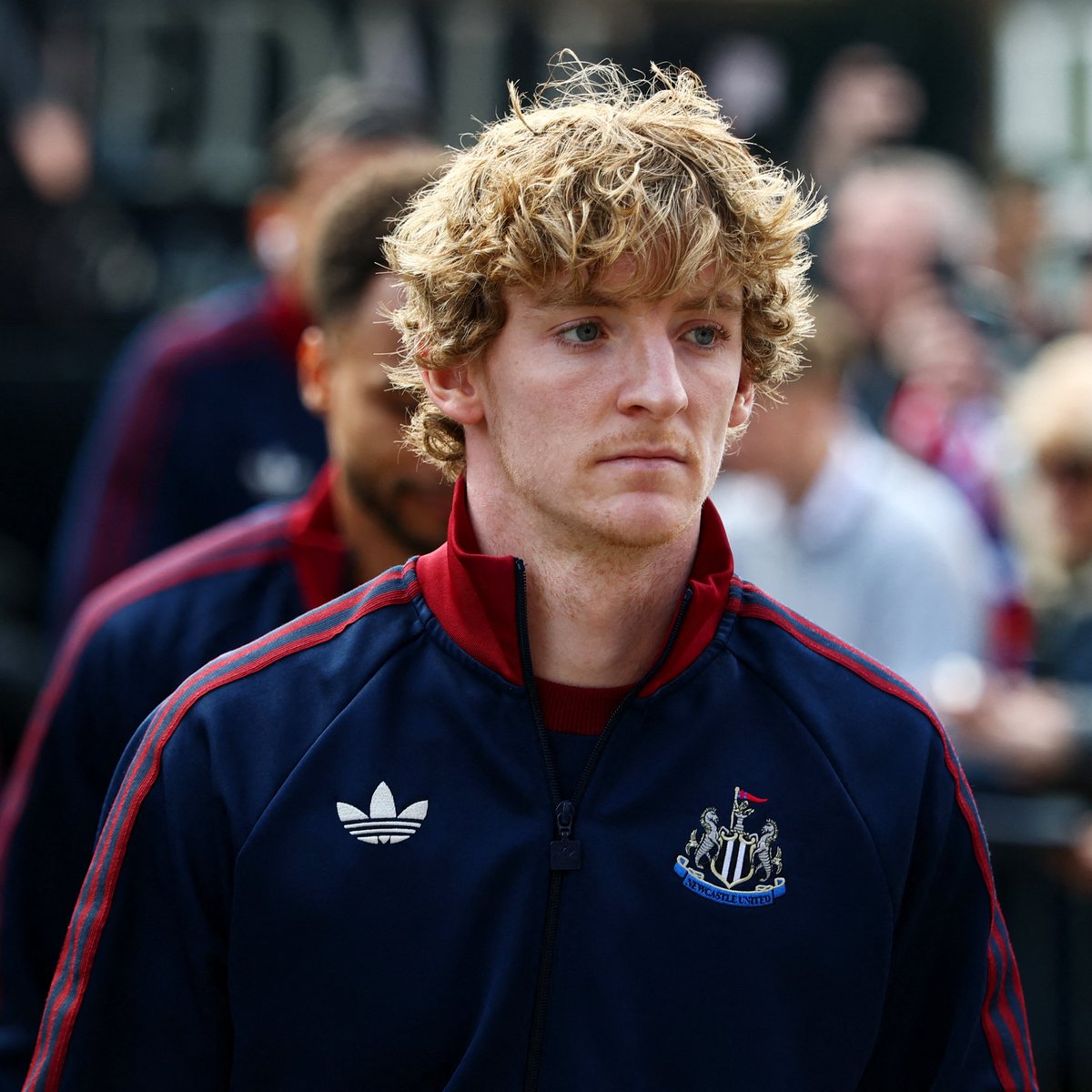 De Marke Sports tweet media
