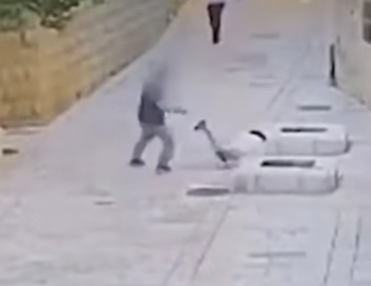 יוסף חדאד - Yoseph Haddad tweet media