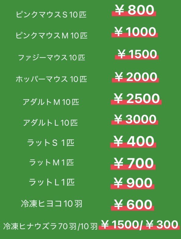 Reptiles shop Antille (爬虫類屋アンティル) tweet media