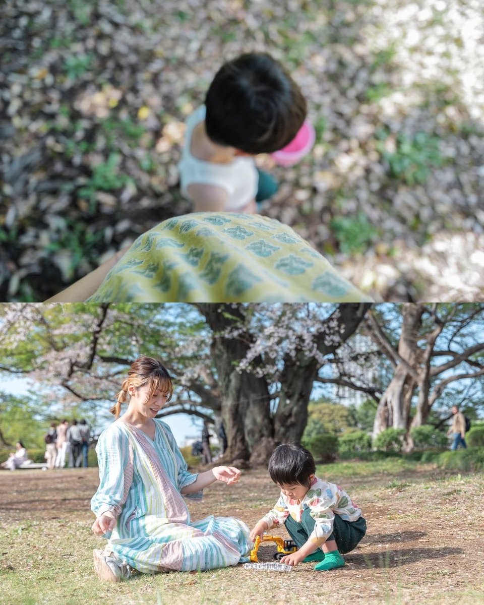 伊佐 知美 tweet media