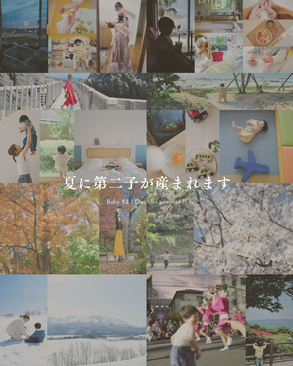 伊佐 知美 tweet media