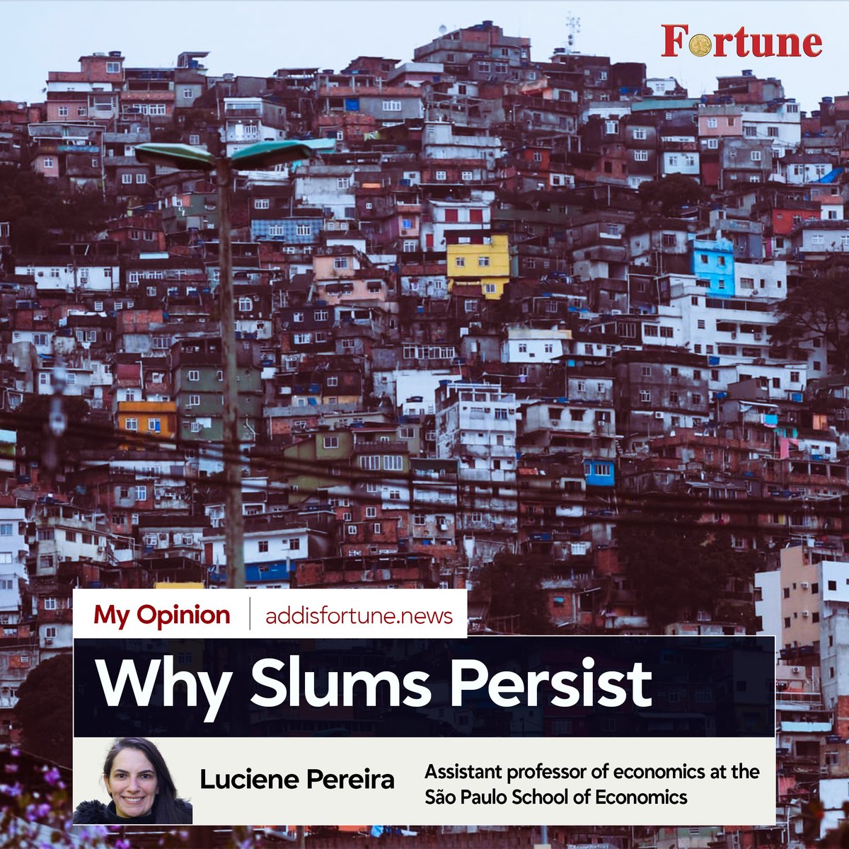 addis_fortune's tweet image. 𝗟𝗨𝗖𝗜𝗘𝗡𝗘 𝗣𝗘𝗥𝗘𝗜𝗥𝗔: For decades, the standard response to urban informality has been a cycle of relocation and demolition. #Urban #Mobility #Slums

Read more - shorturl.at/10svq