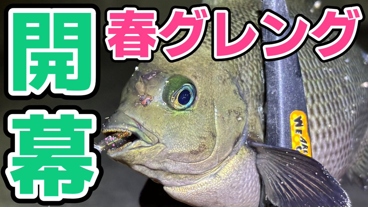 ゆきあつFishing tweet media